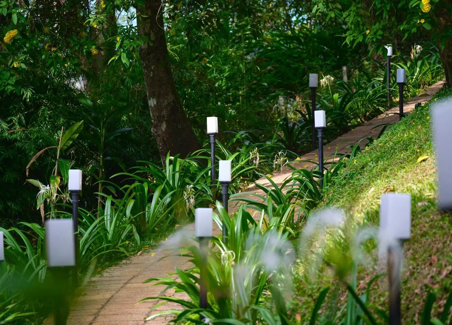 Era Resort By Stride Munnar